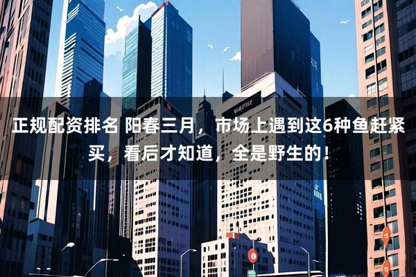 正规配资排名 阳春三月，市场上遇到这6种鱼赶紧买，看后才知道，全是野生的！